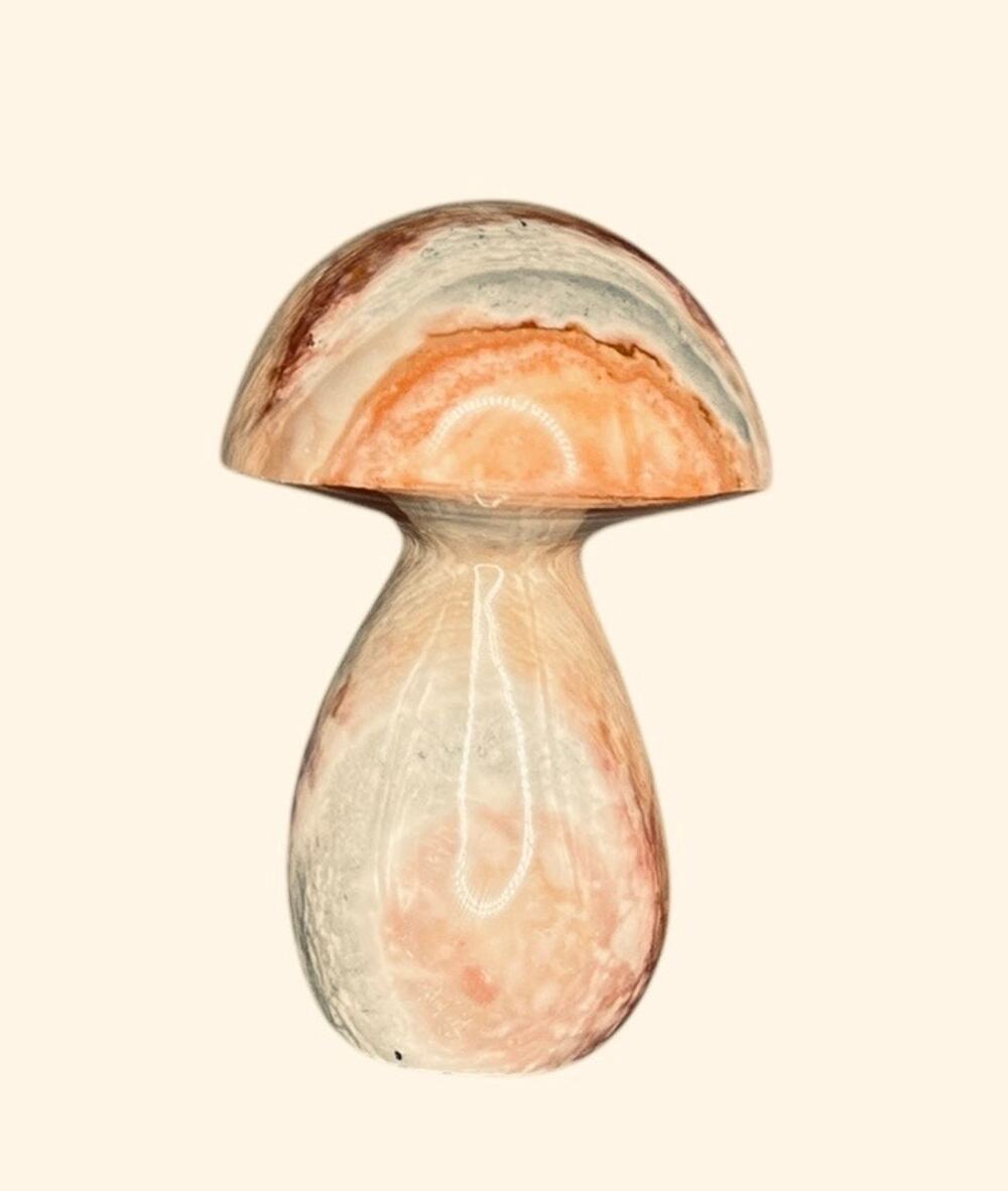 Jasper Polished Mushroom 3 1/2” x 2 1/2”